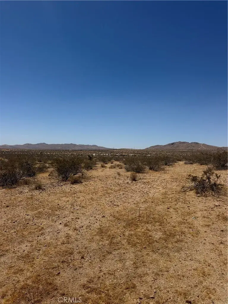 39 Leaping Lizard, Apple Valley, CA 92307 - #2
