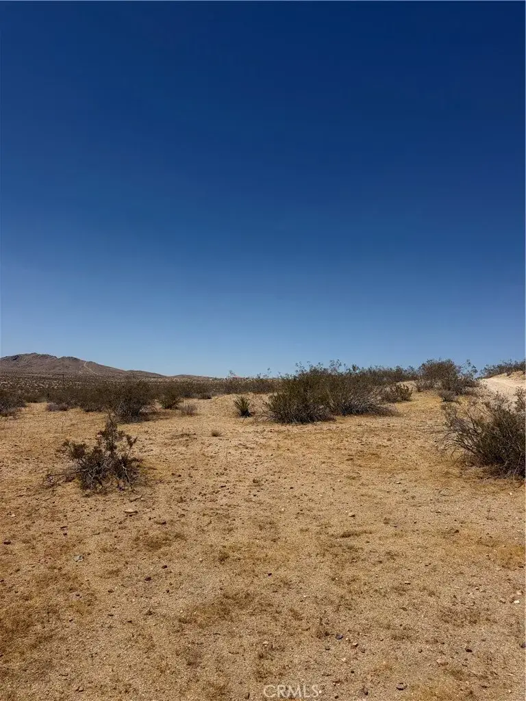 39 Leaping Lizard, Apple Valley, CA 92307 - #3
