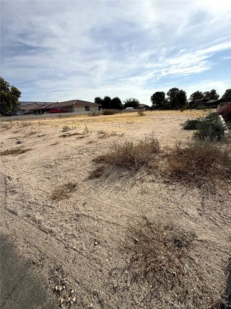 26817 Saddle, Helendale, CA 92342 - #3