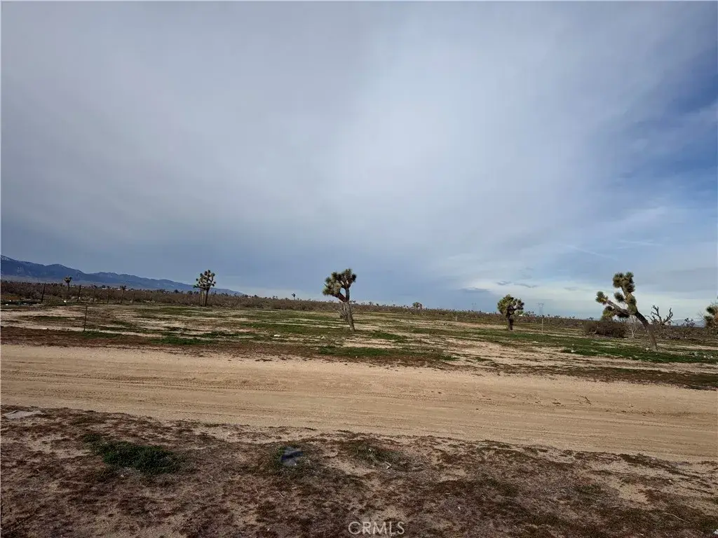 14650 Manada, Phelan, CA 92371 - #1