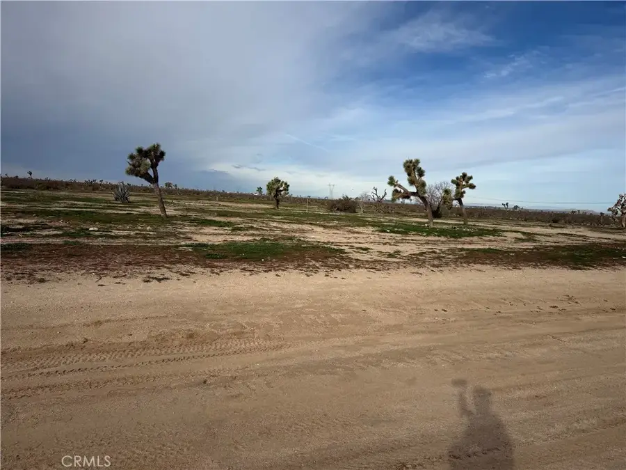 14650 Manada, Phelan, CA 92371 - #2