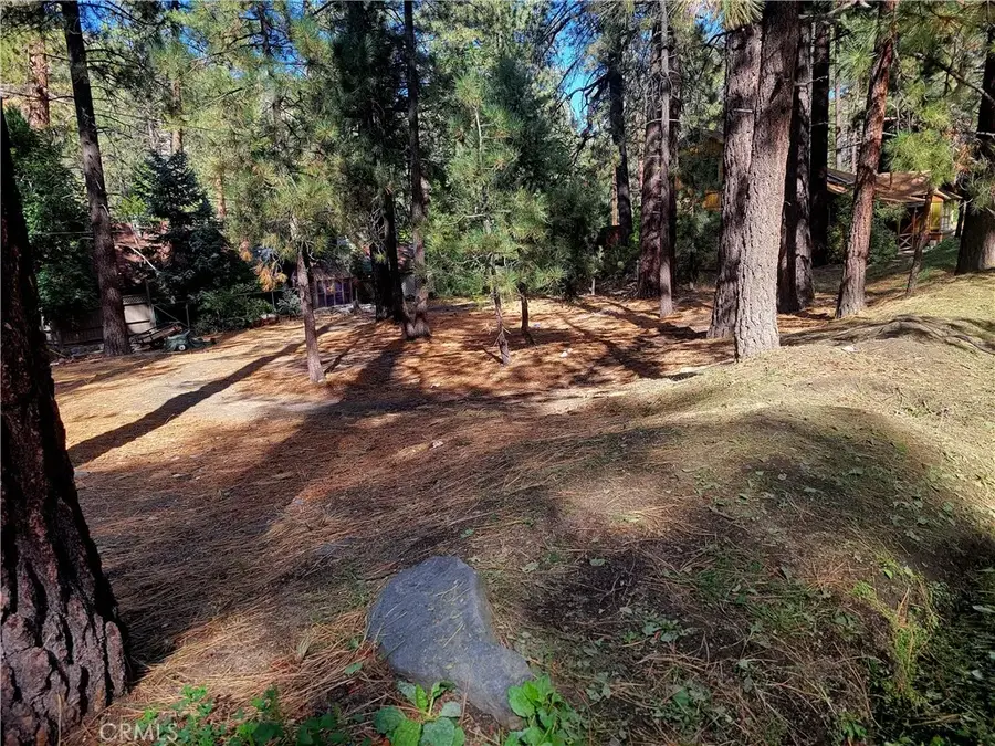 0 Laura, Wrightwood, CA 92397 - #2