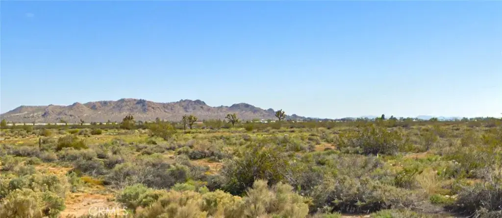 0 E Ave R 10, Sun Village, CA 93543 - #1
