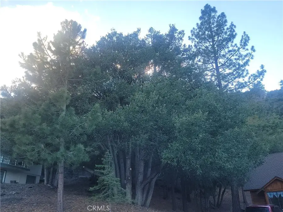 0 Desert View, Wrightwood, CA 92397 - #2