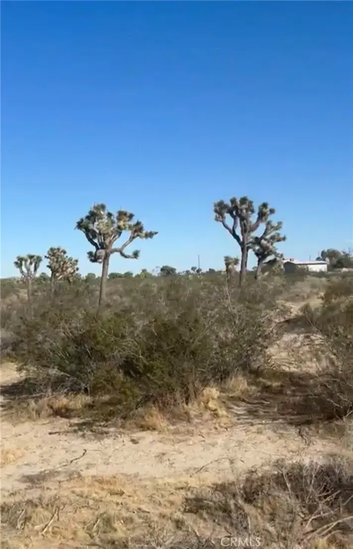 0 Avenue R6, Sun Village, CA 93543 - #2
