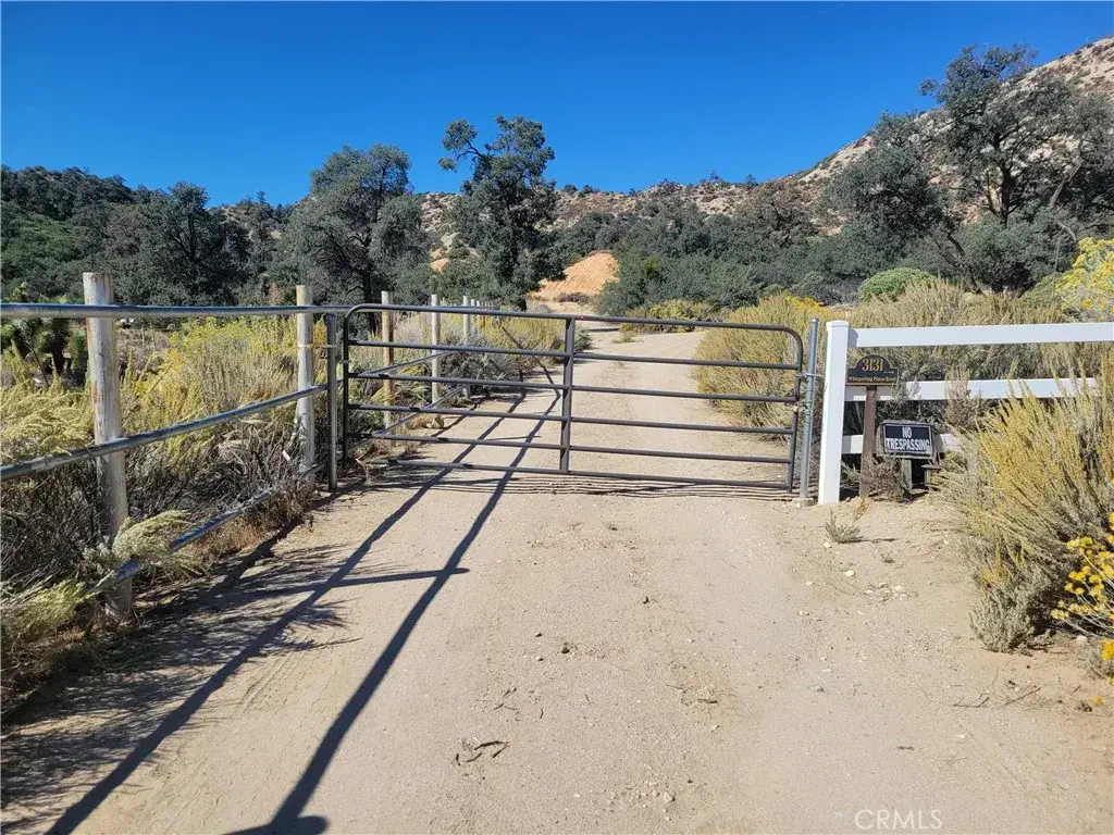 0 Whispering Pines Rd, Wrightwood, CA 92397 - #1