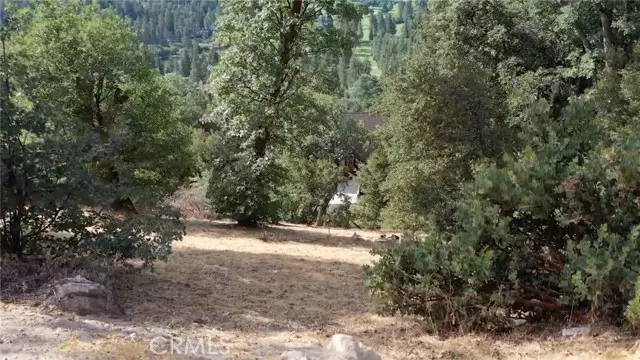 #3