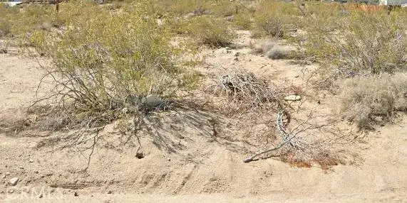 1 Alta Loma, Desert Edge, CA 92277 - #1