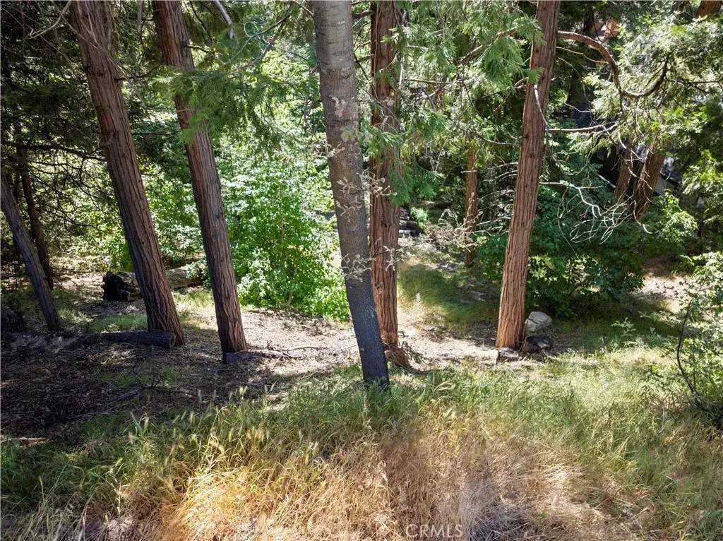 356 Ca-173, Lake Arrowhead, CA 92352 - Image #1