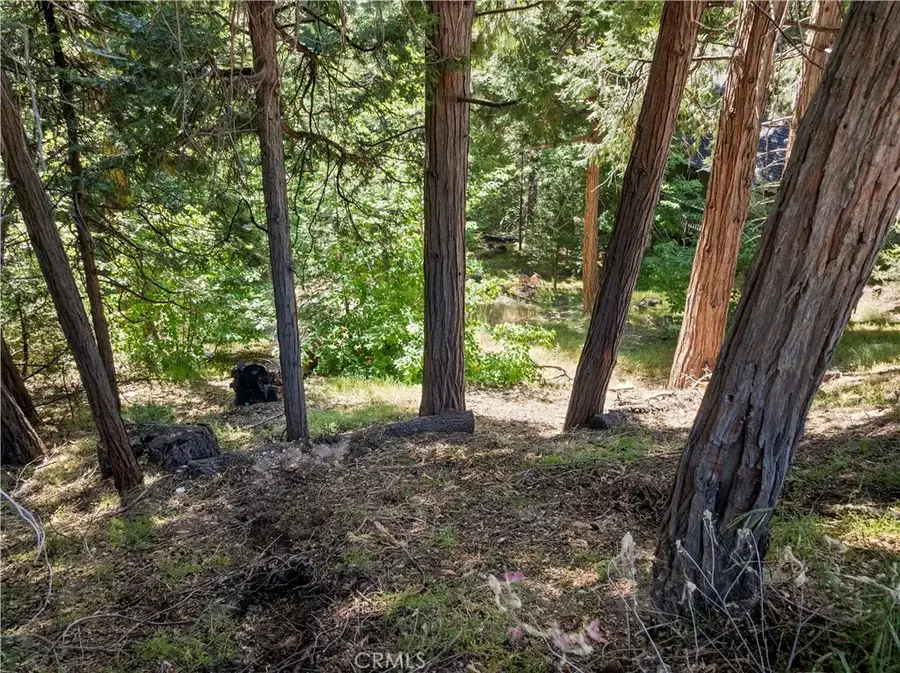 356 Ca-173, Lake Arrowhead, CA 92352 - Image #2