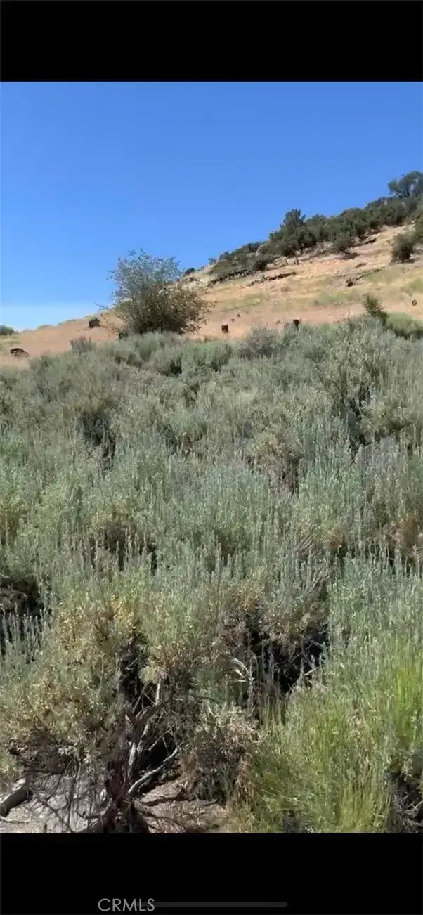 24151 Jacaranda, Tehachapi, CA 93561 - Image #2