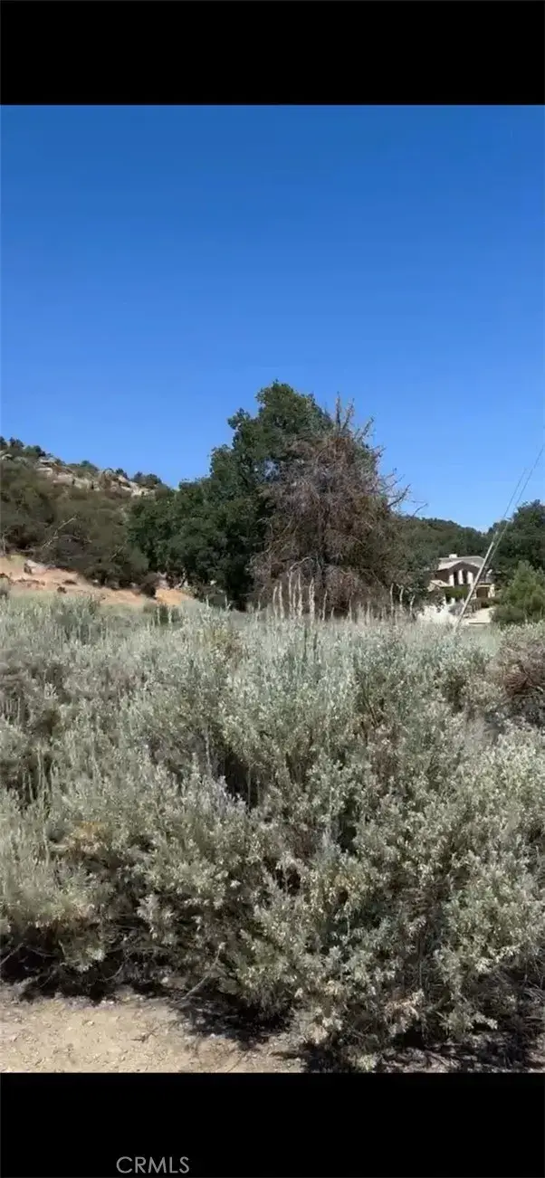 24151 Jacaranda, Tehachapi, CA 93561 - Image #3