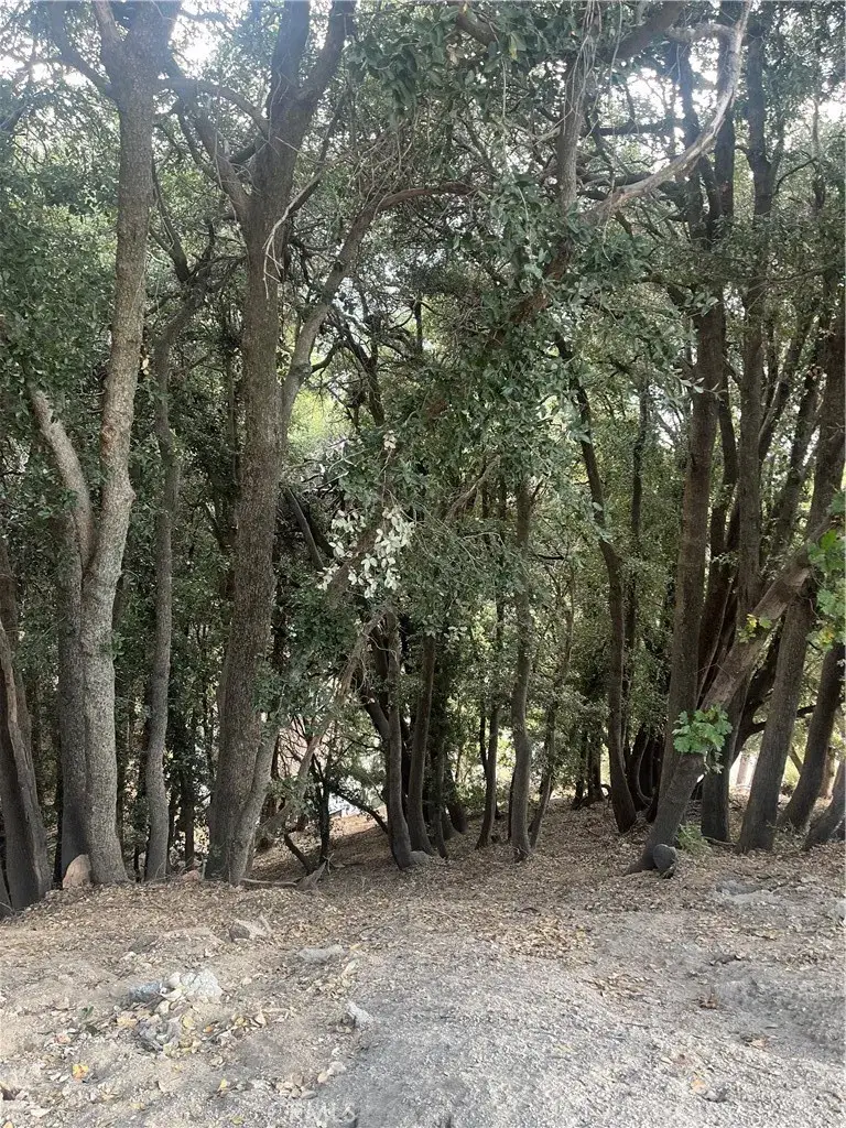 #2