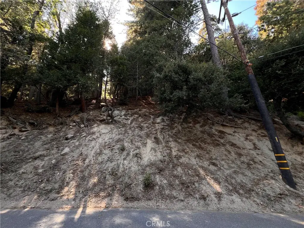 0 Lausanne, Crestline, CA 92325 - Image #1