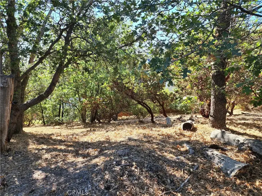1248 Glacier, Lake Arrowhead, CA 92352 - Image #3