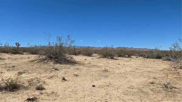 4102 Pine (jackrabbit), Landers, CA 92285