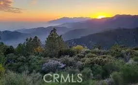 1894 Arrow Bear Park, Running Springs, CA 92382 - Image #3