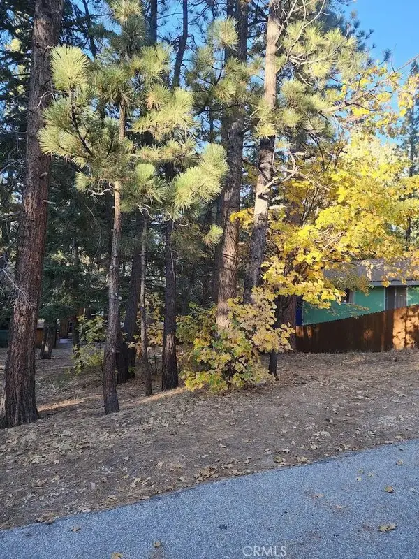 42736 Willow, Big Bear Lake, CA 92315