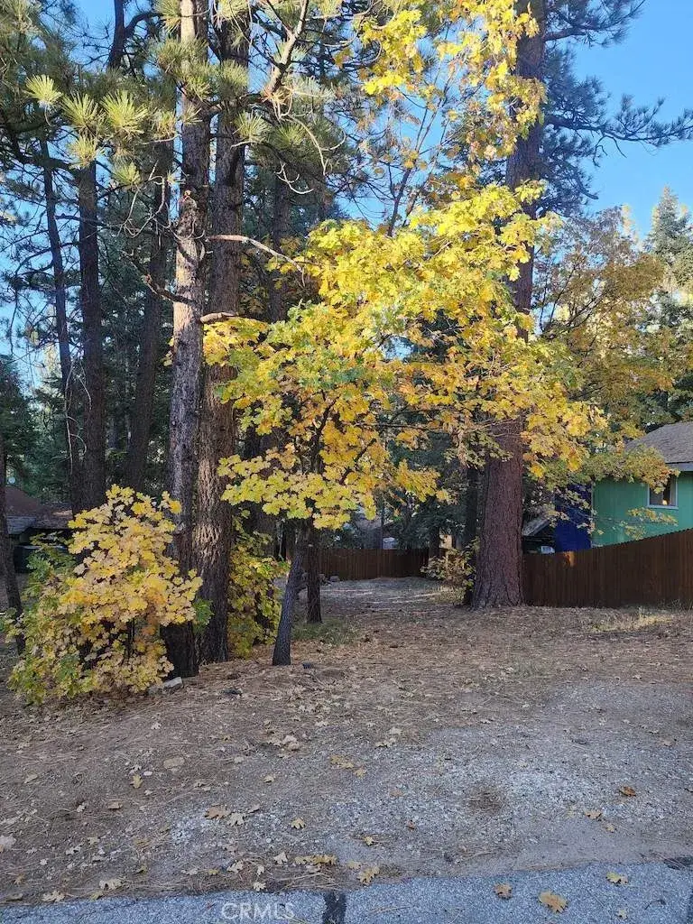 42736 Willow, Big Bear Lake, CA 92315 - Image #2
