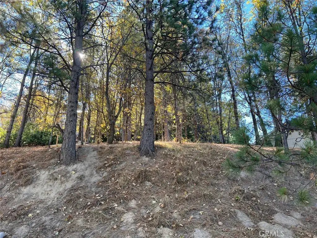 82 Pixie, Running Springs, CA 92382 - Image #1