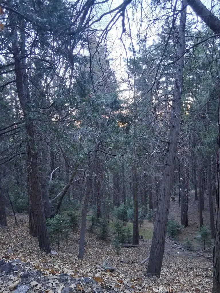 0 Reservoir, Cedarpines Park, CA 92322 - Image #1