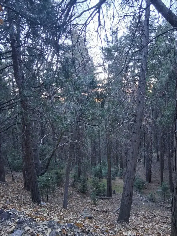 0 Reservoir, Cedarpines Park, CA 92322