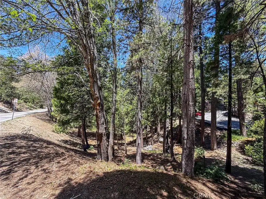 180 Grass Valley Rd. #5, Lake Arrowhead, CA 92352 - Image #3