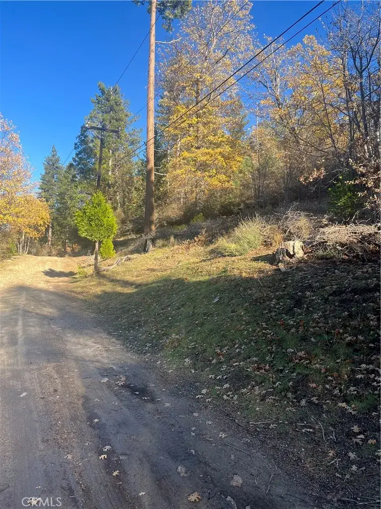 29834 Juniper, Cedar Glen, CA 92321 - Image #2