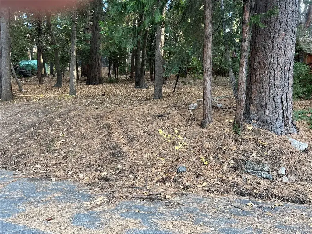 0 Cedarwood, Running Springs, CA 92382 - Image #1