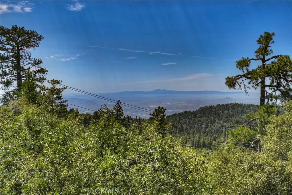 25515 True, Twin Peaks, CA 92391 - Image #1
