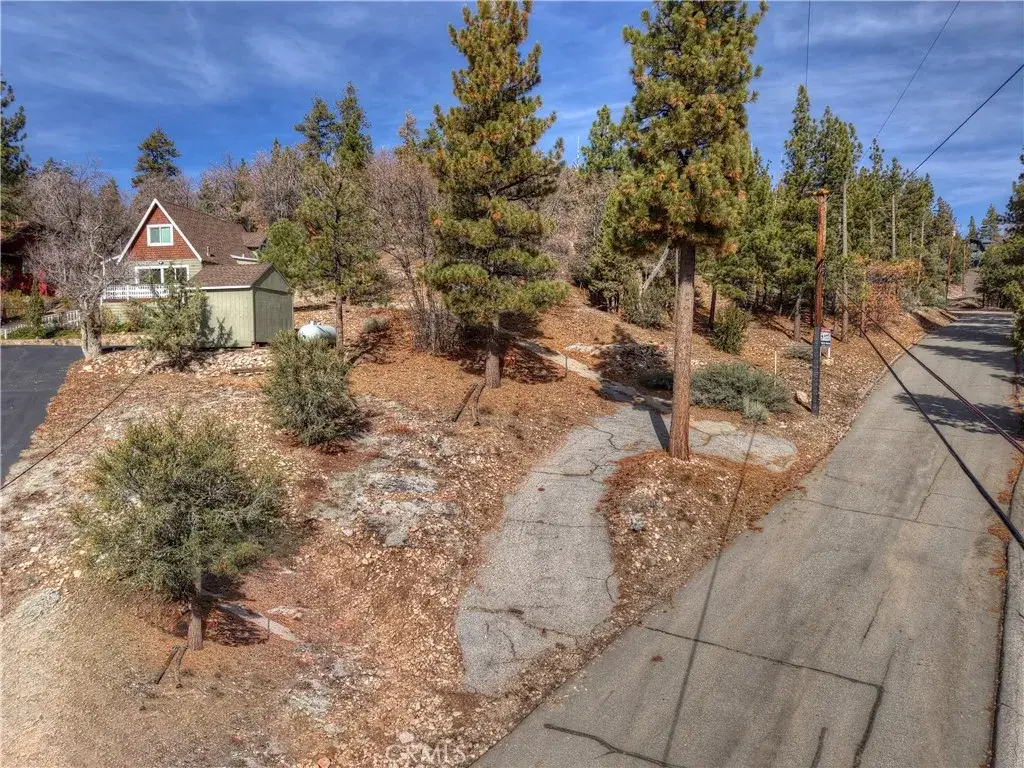 1115 Fawnskin, Fawnskin, CA 92333 - #1