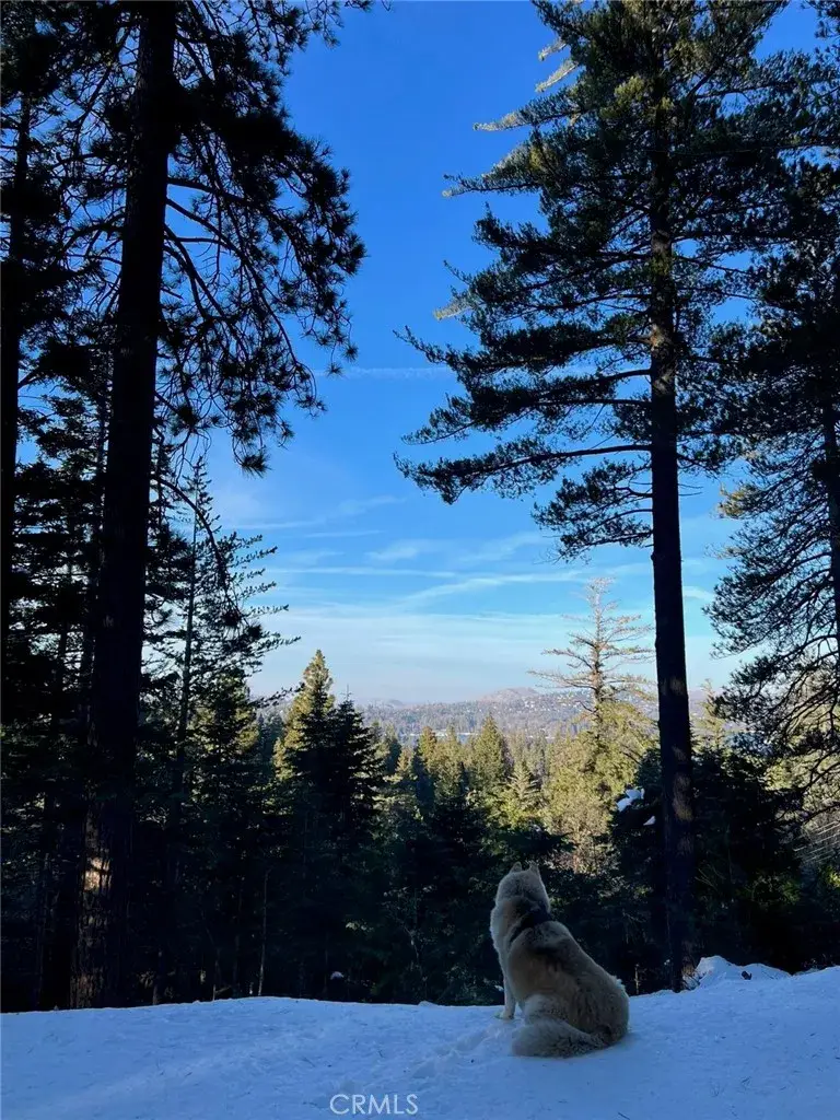 525 Ca-173, Lake Arrowhead, CA 92352 - Image #2