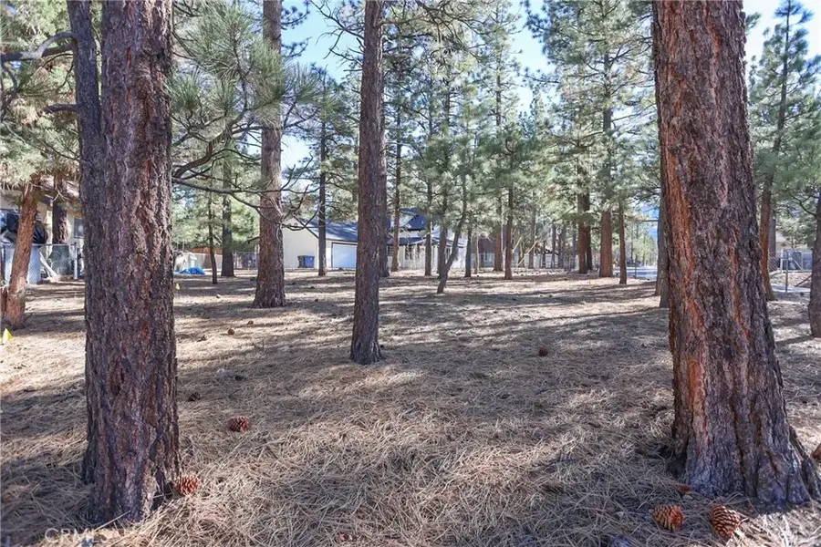 0 Dutch, Big Bear City, CA 92314 - #2