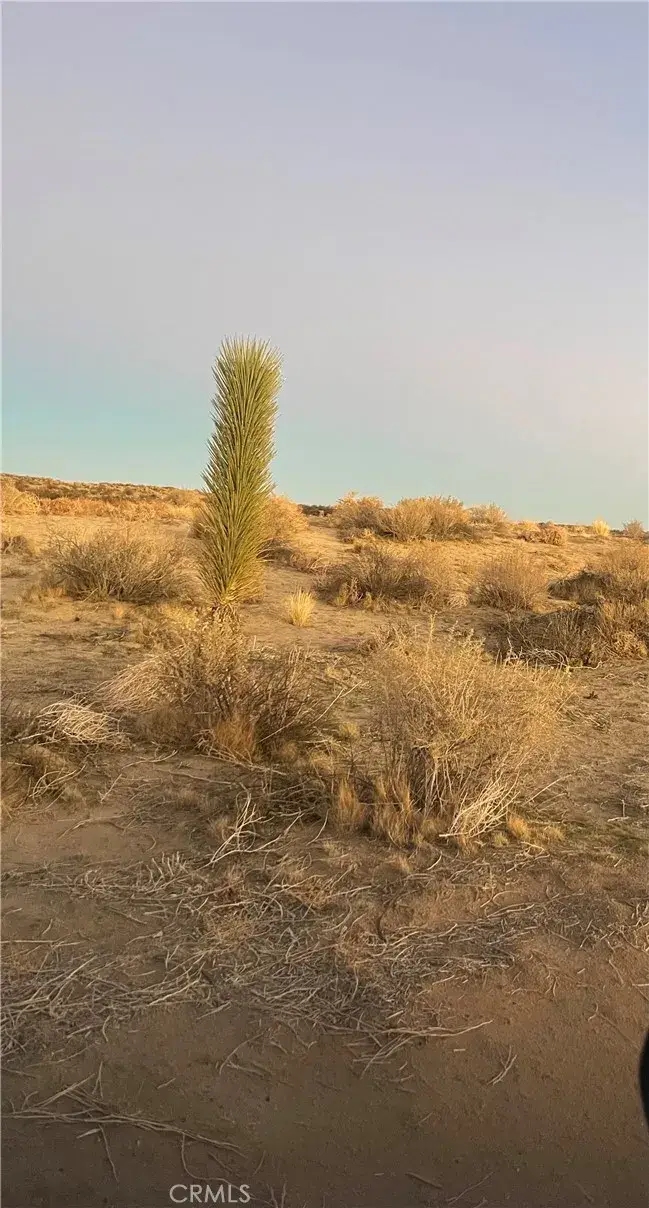 0 Vac/corner P4/220 Ste, Palmdale, CA 93591 - Image #2