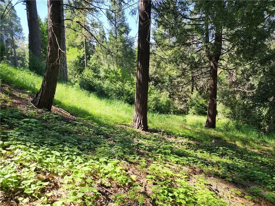 811 Deer, Crestline, CA 92325 - Image #3