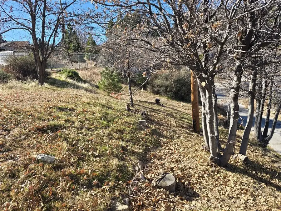2350 Deep Creek, Running Springs, CA 92382 - Image #3