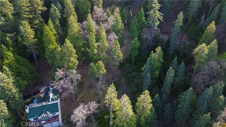 21614 Canyon Vista, Cedarpines Park, CA 92322 - Image #2