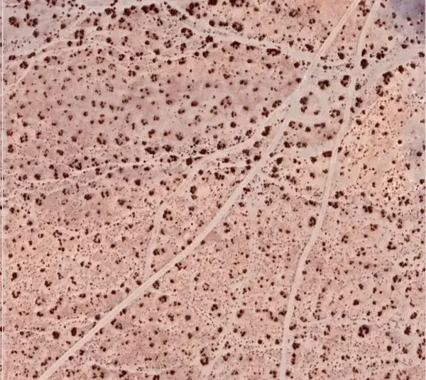 0 0, Helendale, CA 92342