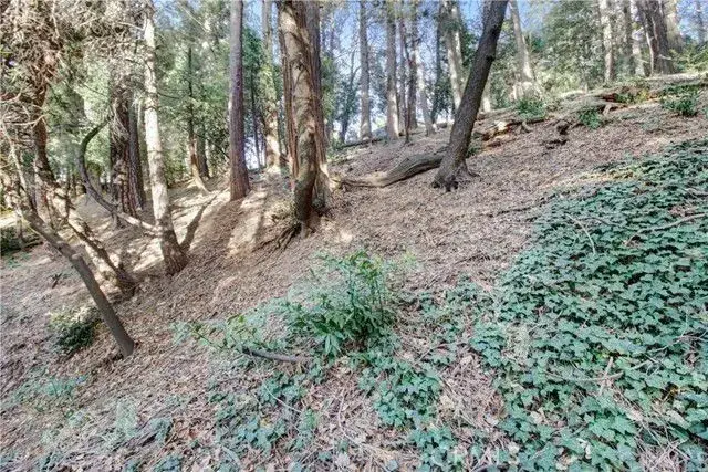 2662 Scenic, Crestline, CA 92325 - Image #3