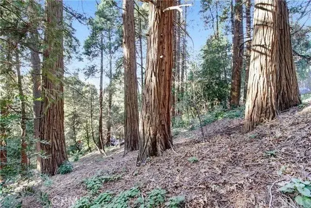 2661 Scenic, Crestline, CA 92325 - Image #3