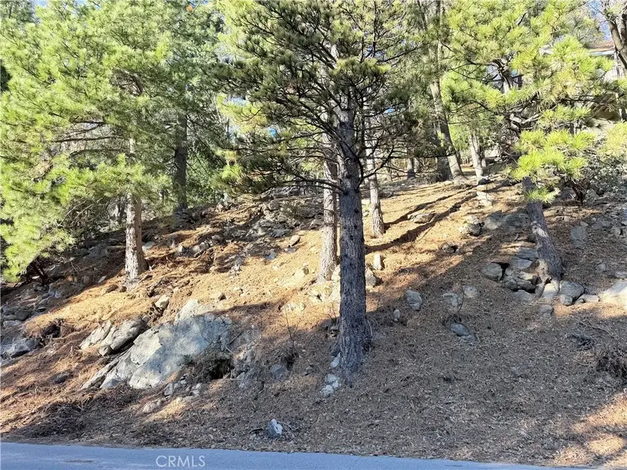 0 Thunderbird, Lake Arrowhead, CA 92352 - Image #3