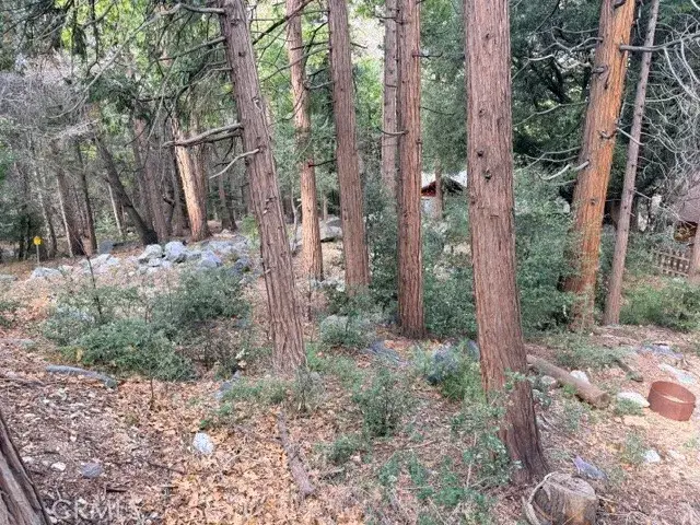 40904 Spruce, Forest Falls, CA 92339 - #1
