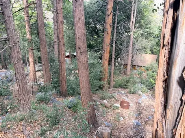 40904 Spruce, Forest Falls, CA 92339 - #2