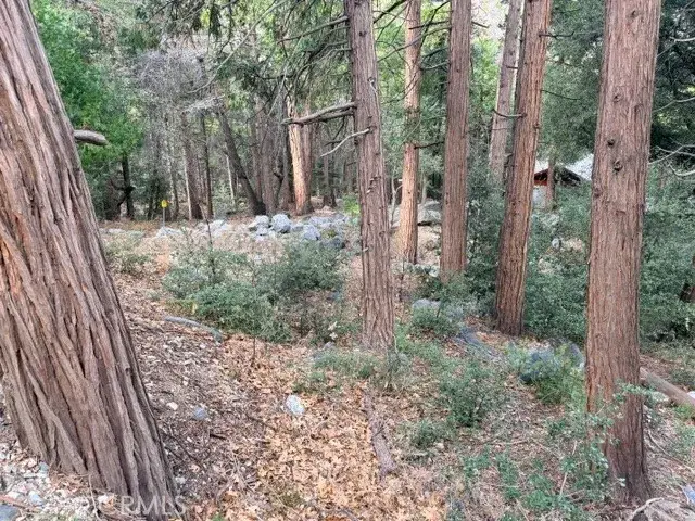 40904 Spruce, Forest Falls, CA 92339 - #3