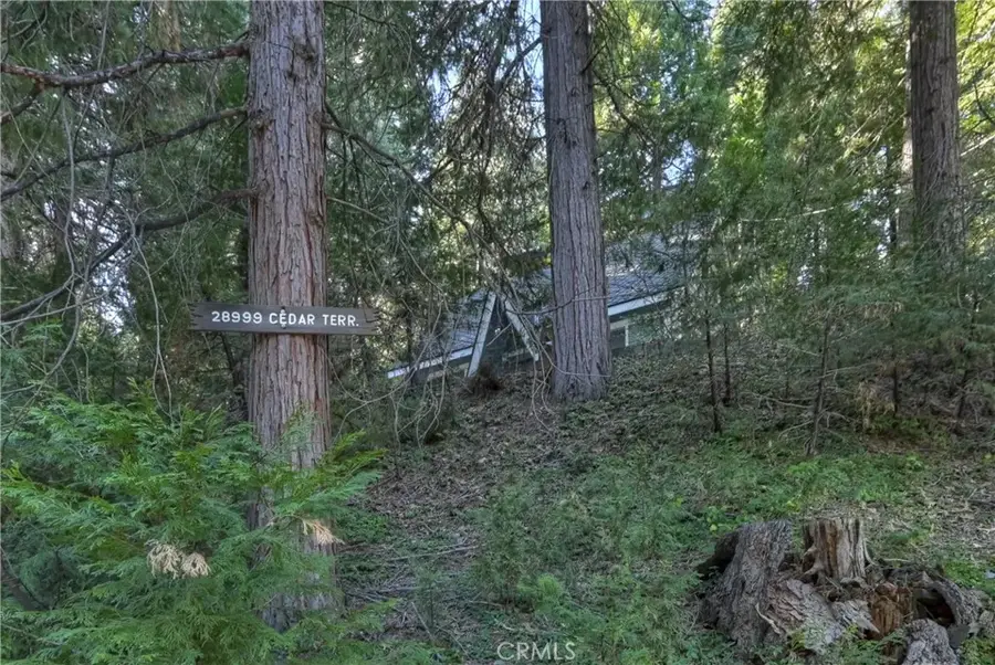 28999 Cedar Terrace, Cedar Glen, CA 92321 - Image #3