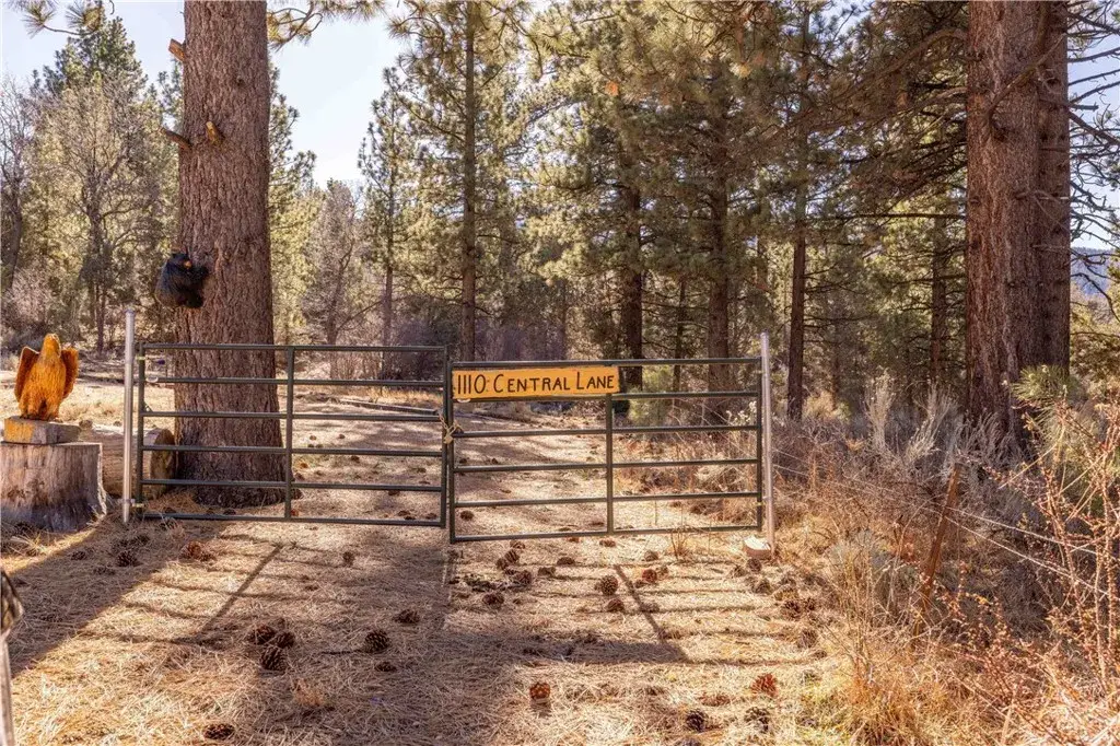 1110 Central, Big Bear City, CA 92314 - Image #1