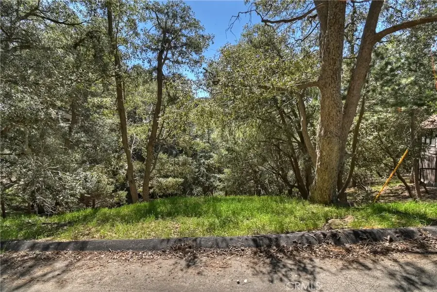 23491 Short Way, Crestline, CA 92325 - #3