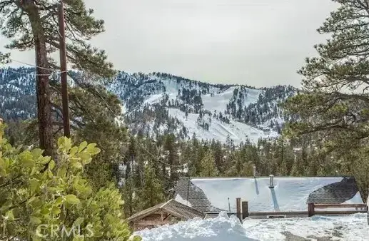 43469 Sheephorn, Big Bear Lake, CA 92315 - #2