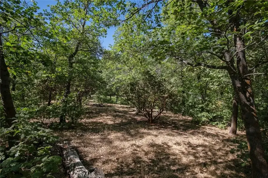 0 North Shore, Lake Arrowhead, CA 92352 - #3