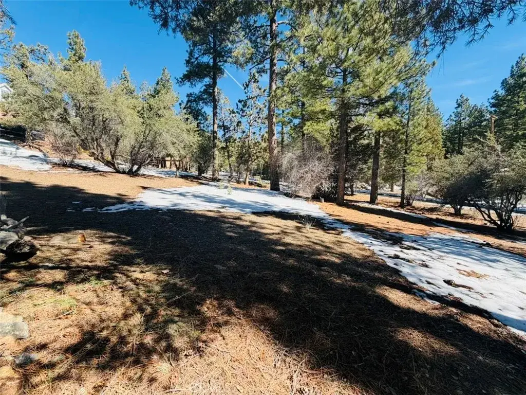 808 Antelope Mountain, Big Bear City, CA 92314 - #1